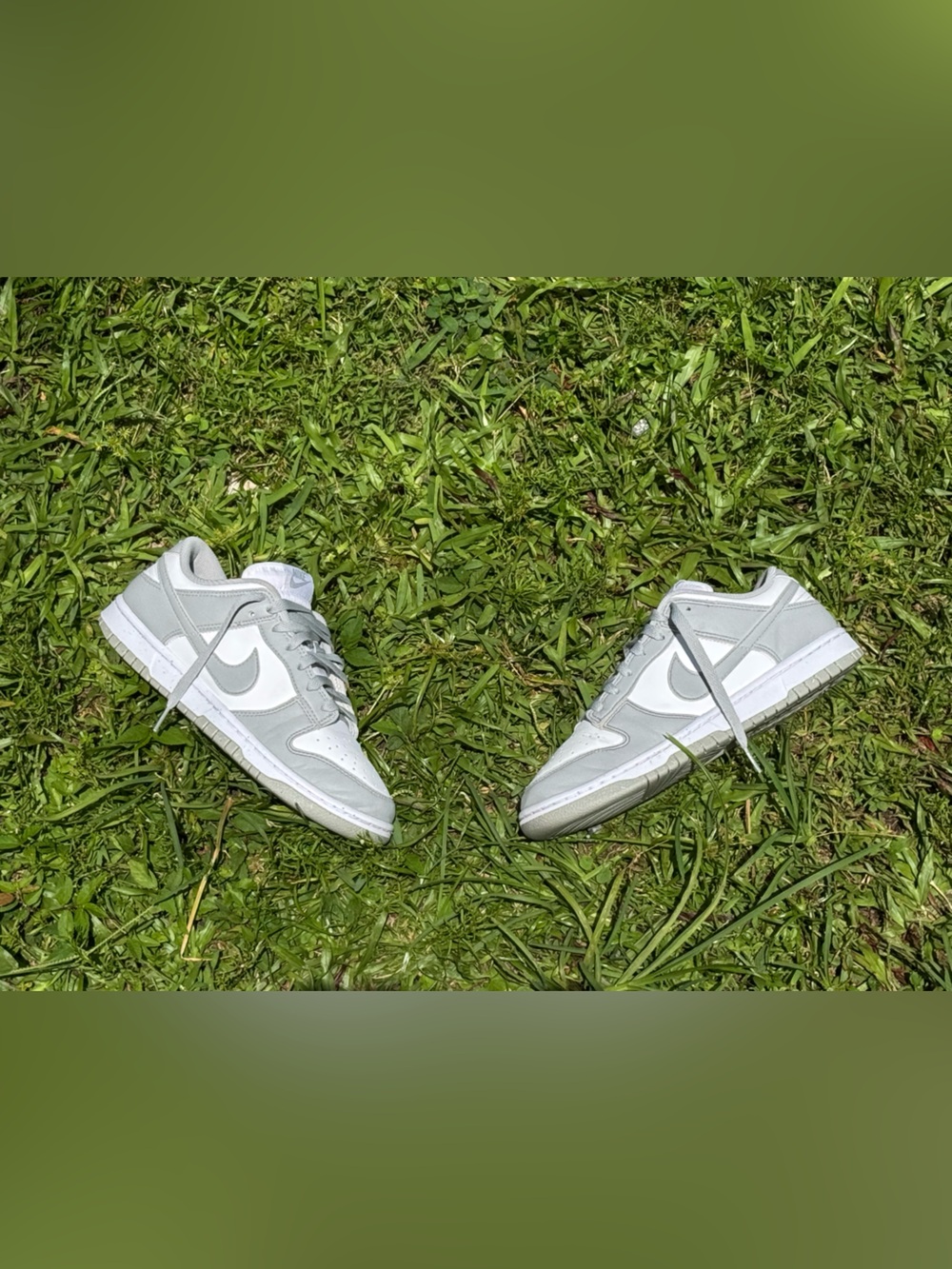 Nike Dunk Low Next Nature